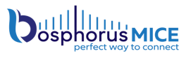 Bosphorus Mice Logo